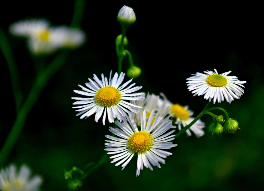 ... ����� ���� ������ �� PhotoGeek.ru #�������� ����������