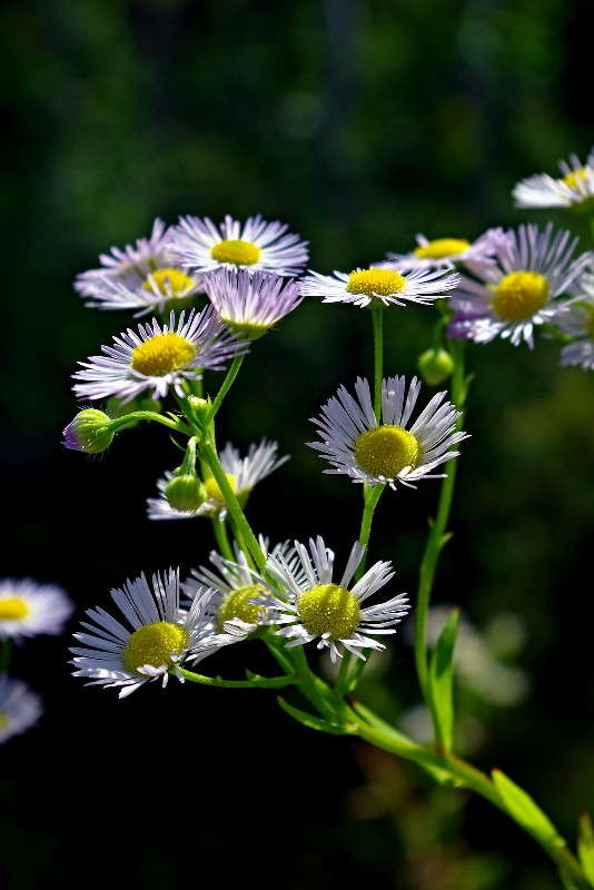 ������� ����� ���� ������ �� PhotoGeek.ru #������ ��� �������