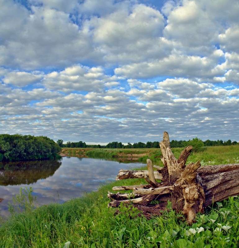 ������ ����� ���� ������ �� PhotoGeek.ru #������ ��� �������