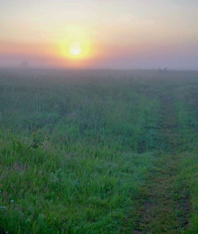 ... ����� ���� ������ �� PhotoGeek.ru #������ ��� �������