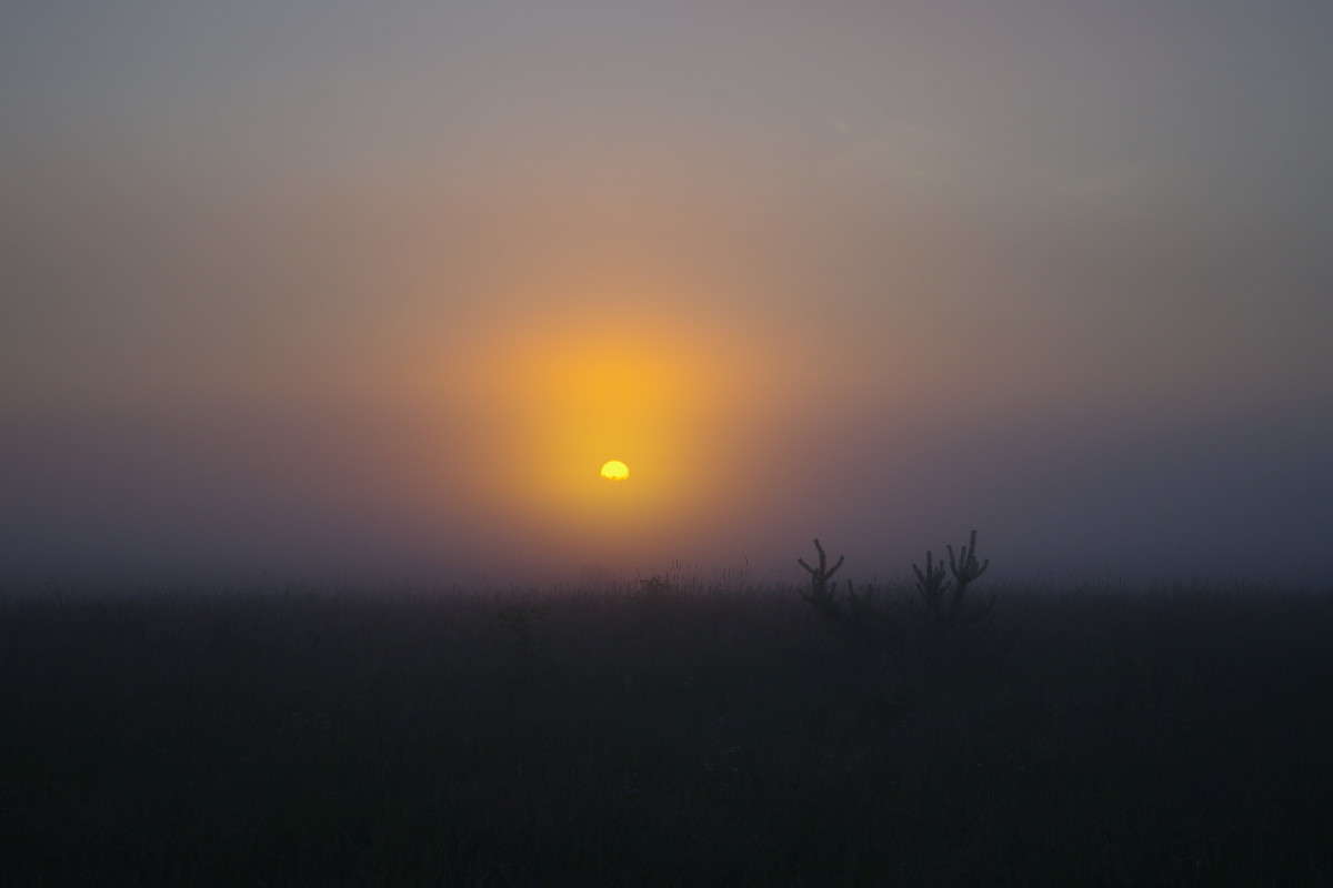 ... ����� ���� ������ �� PhotoGeek.ru #������ ��� �������