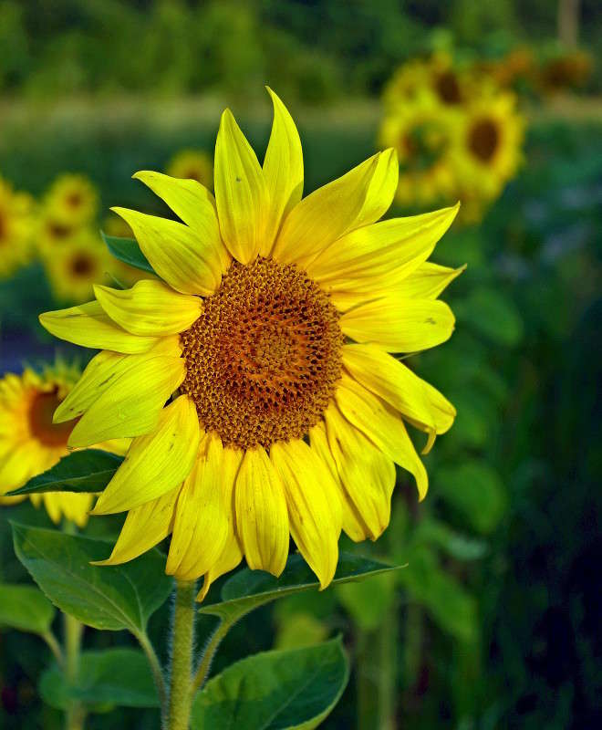 ... ����� ���� ������ �� PhotoGeek.ru #������ ��� �������