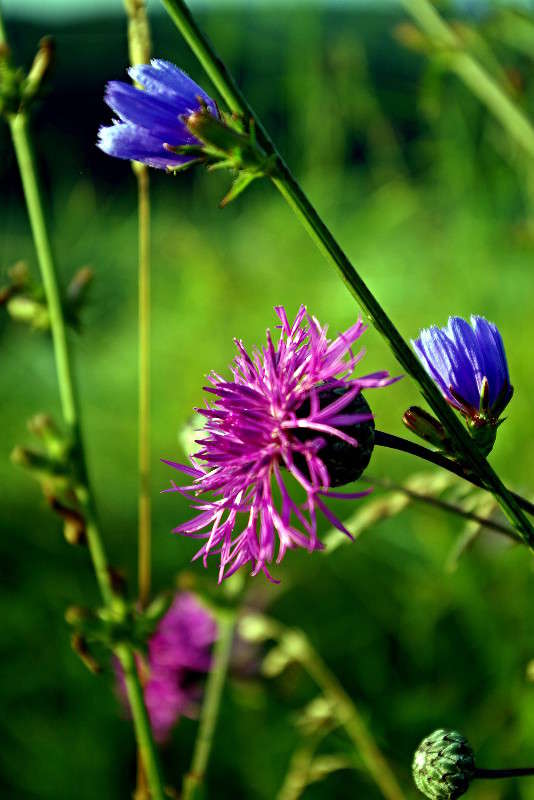 ������� ����� ���� ������ �� PhotoGeek.ru #������ ��� �������