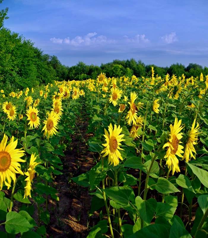 ���������� ����� ���� ������ �� PhotoGeek.ru #������ ��� �������