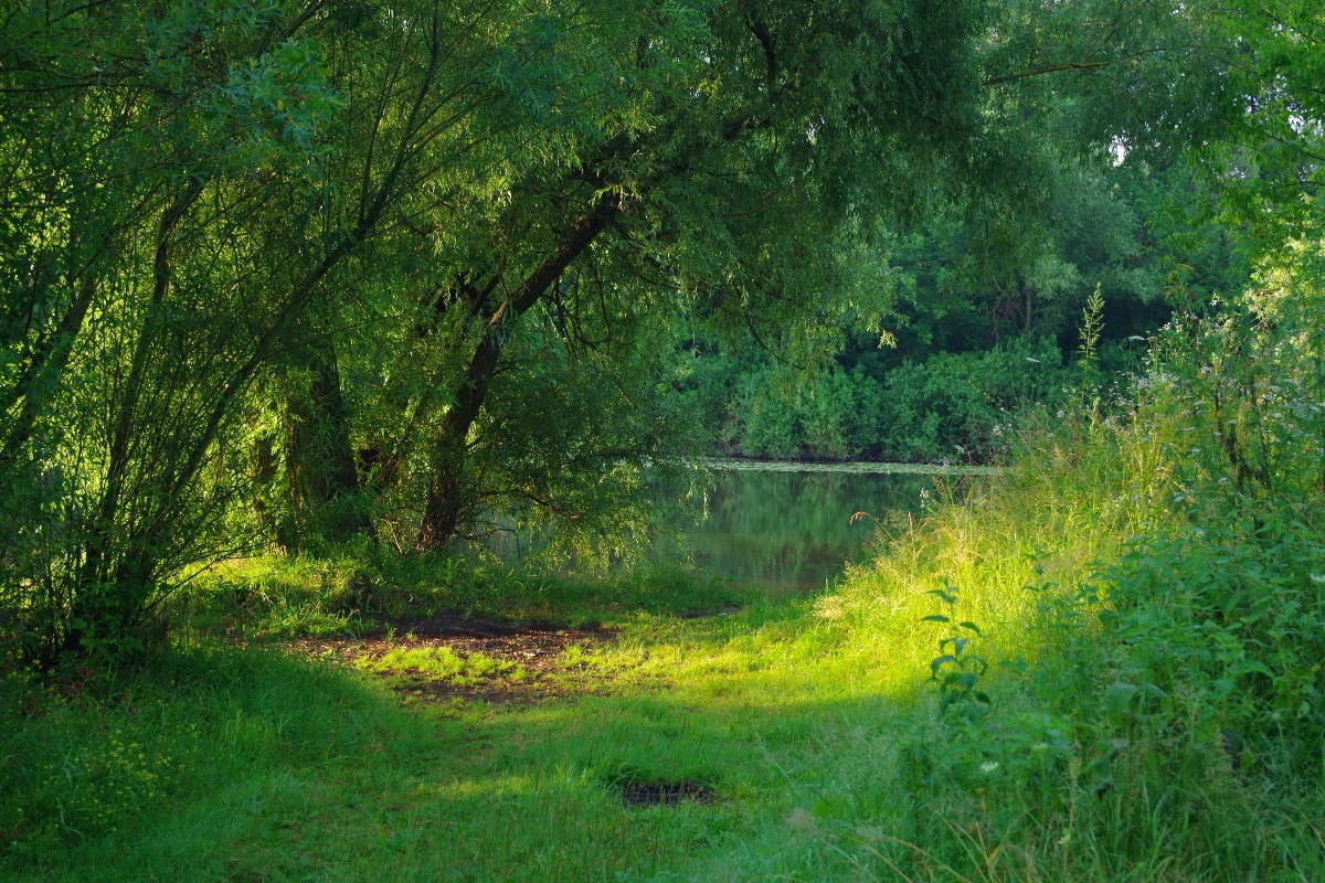 ... ����� ���� ������ �� PhotoGeek.ru #������ ��� �������