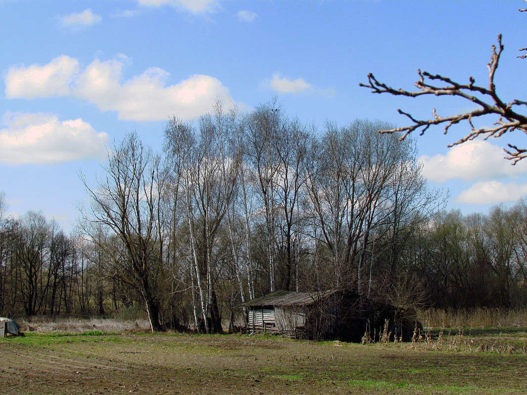 ... ����� ���� ������ �� PhotoGeek.ru #������ ��� �������