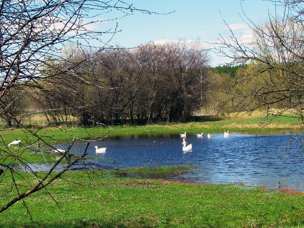 ... ����� ���� ������ �� PhotoGeek.ru #������ ��� �������