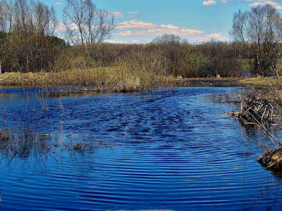 ... ����� ���� ������ �� PhotoGeek.ru #������ ��� �������