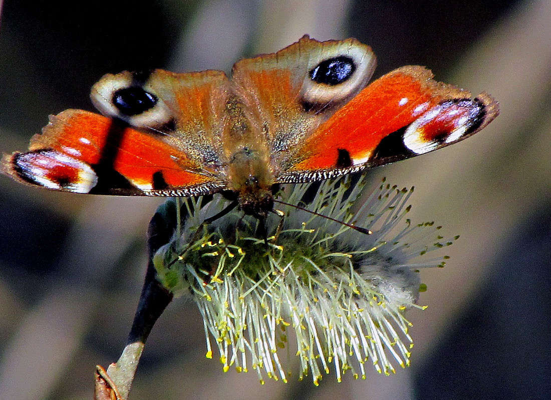 ... ����� ���� ������ �� PhotoGeek.ru #�����