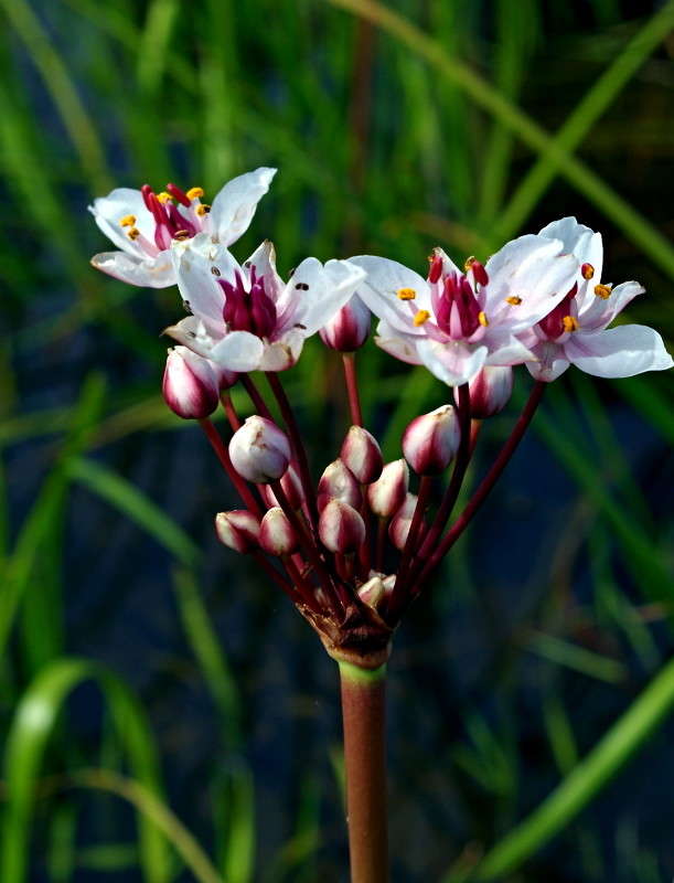 ... ����� ���� ������ �� PhotoGeek.ru #�����