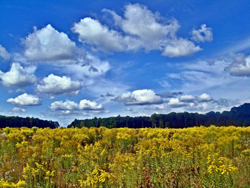 ������ ����� ���� ������ �� PhotoGeek.ru #������ ��� �������