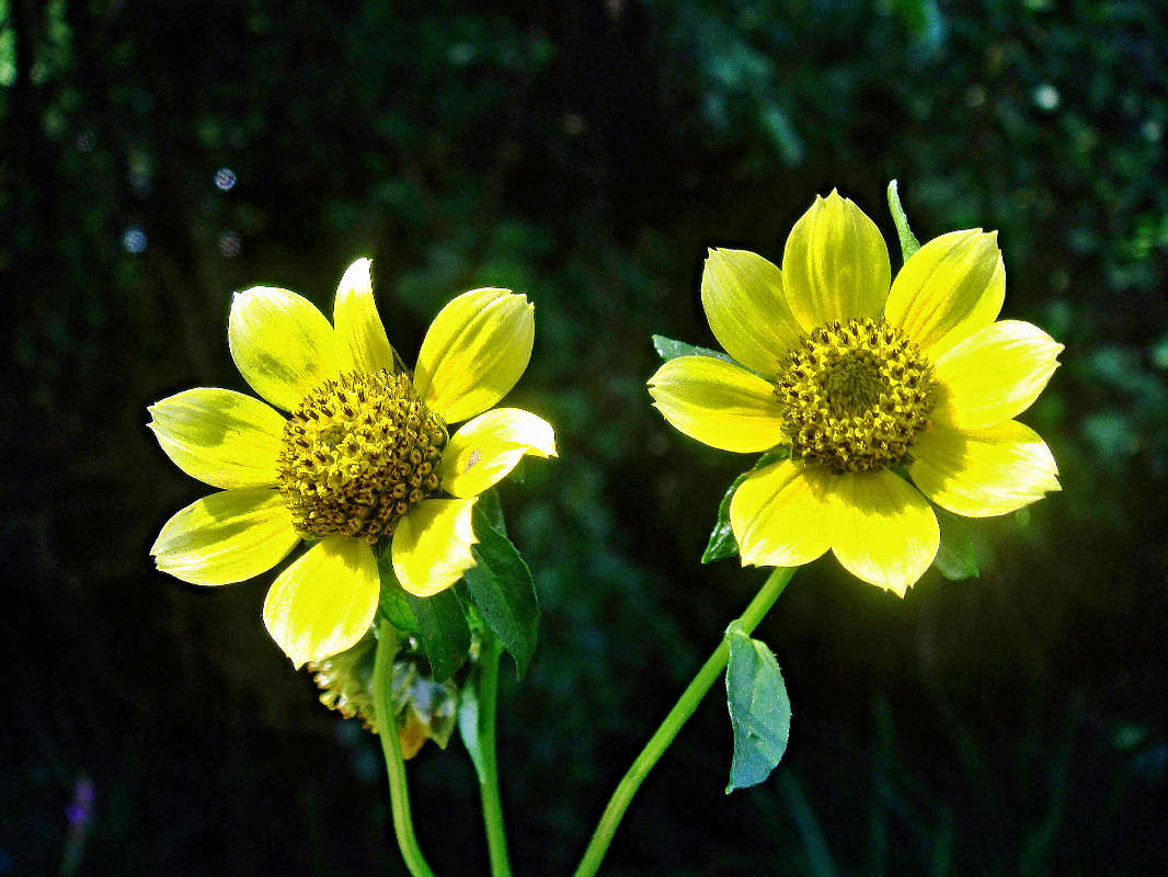 ���������� ����� ���� ������ �� PhotoGeek.ru #�����