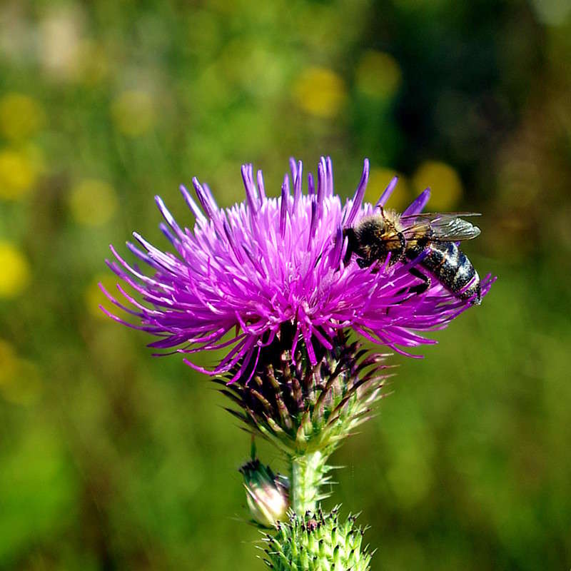 ����� ����� ���� ������ �� PhotoGeek.ru #�����