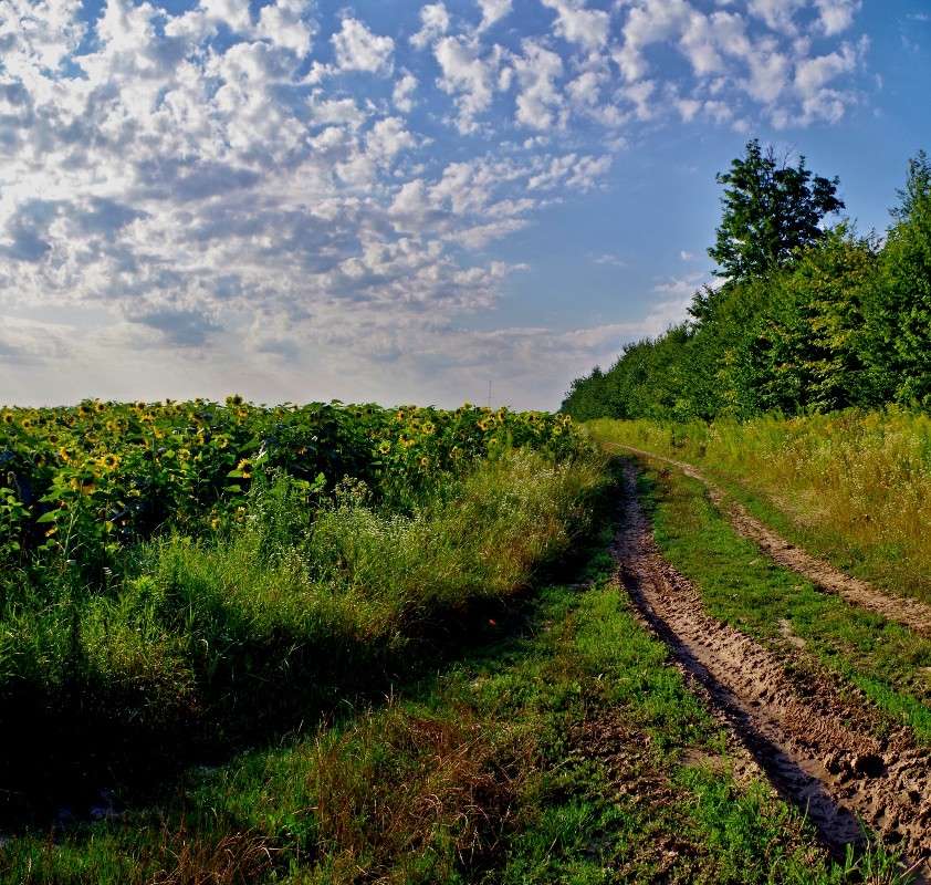 ���� ����� ���� ������ �� PhotoGeek.ru #������ ��� �������