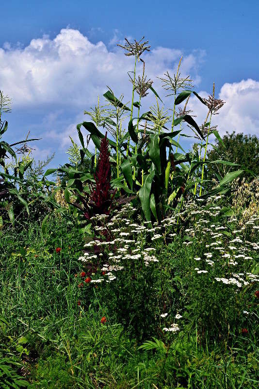 !!!!!!!!!!! ����� ���� ������ �� PhotoGeek.ru #�������� ����������