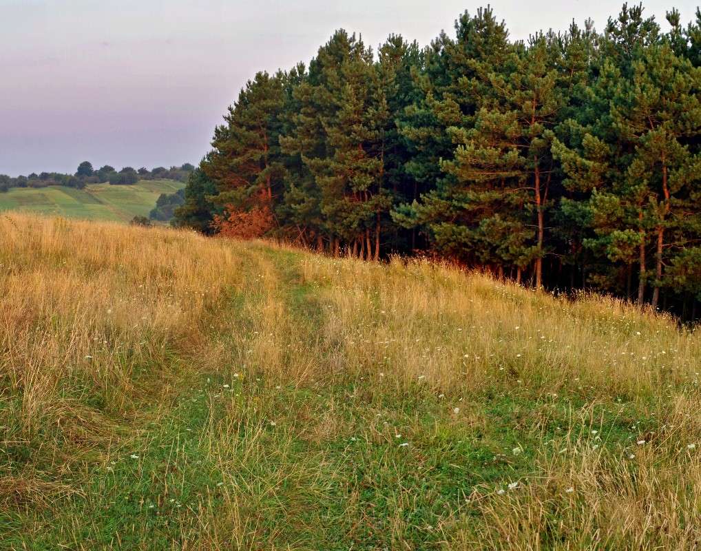 ����� ����� ���� ������ �� PhotoGeek.ru #������ ��� �������