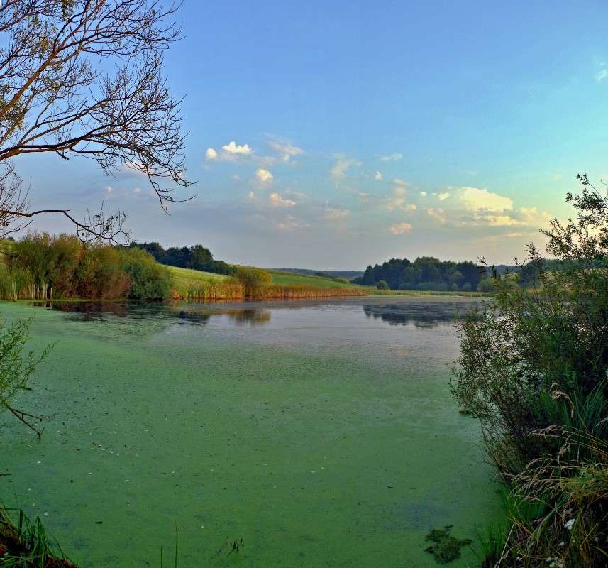 �������� ����� ����� ���� ������ �� PhotoGeek.ru #������ ��� �������