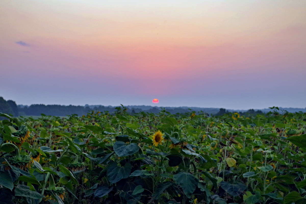 ������ ������ ����� ���� ������ �� PhotoGeek.ru #������ ��� �������