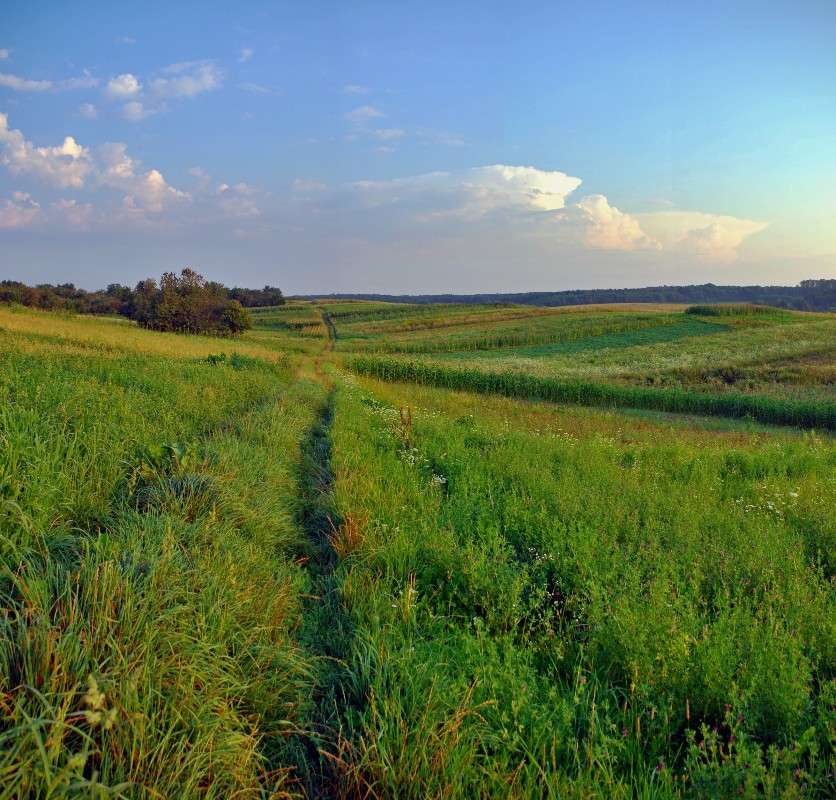 ������ ����� ���� ������ �� PhotoGeek.ru #������ ��� �������