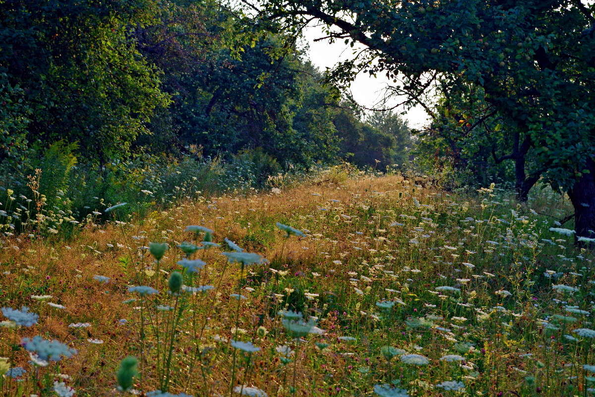 ���� ����� ���� ������ �� PhotoGeek.ru #������ ��� �������