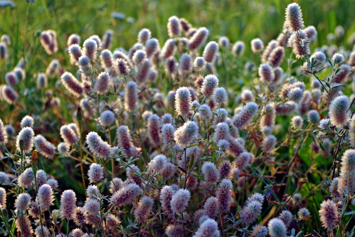 ??? ����� ���� ������ �� PhotoGeek.ru #�����