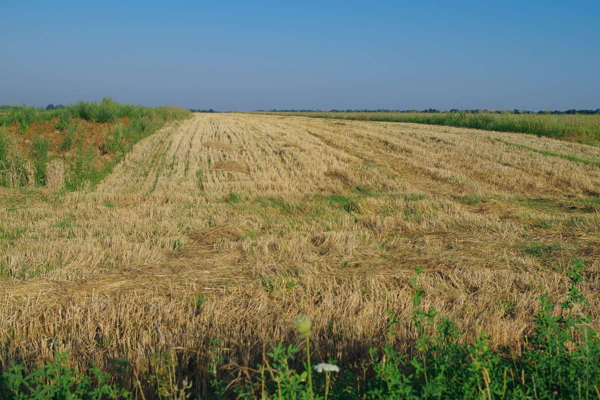 ����� ������ ����� ���� ������ �� PhotoGeek.ru #������ ��� �������