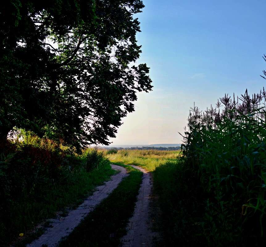 ���� ����� ���� ������ �� PhotoGeek.ru #������ ��� �������