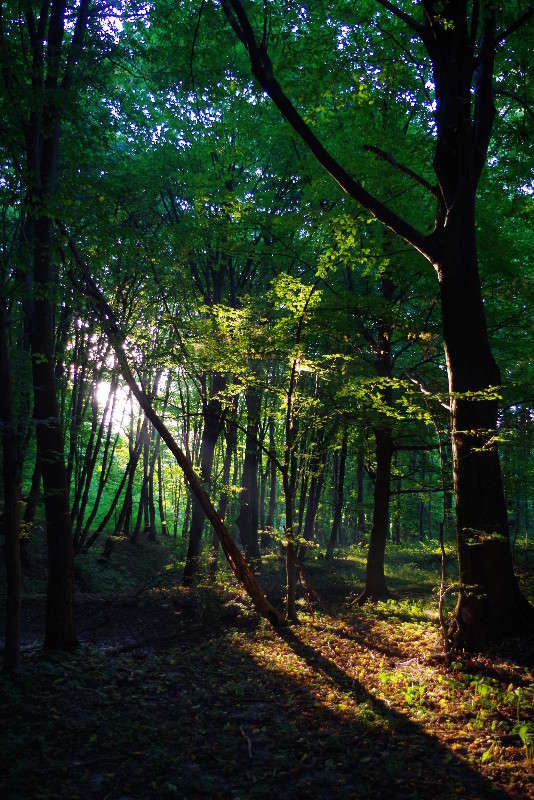 � ���� ����� ���� ������ �� PhotoGeek.ru #������ ��� �������