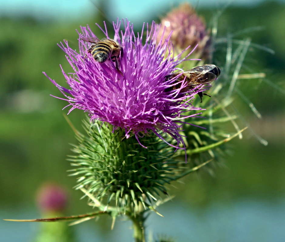 ... ����� ���� ������ �� PhotoGeek.ru #�������� ����������