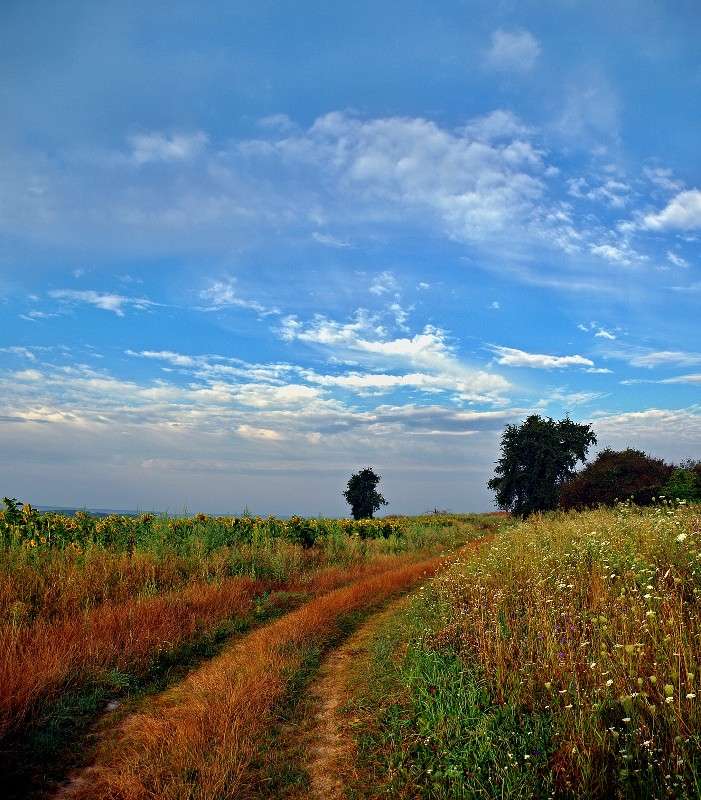 ���� � ������� ����� ���� ������ �� PhotoGeek.ru #������ ��� �������