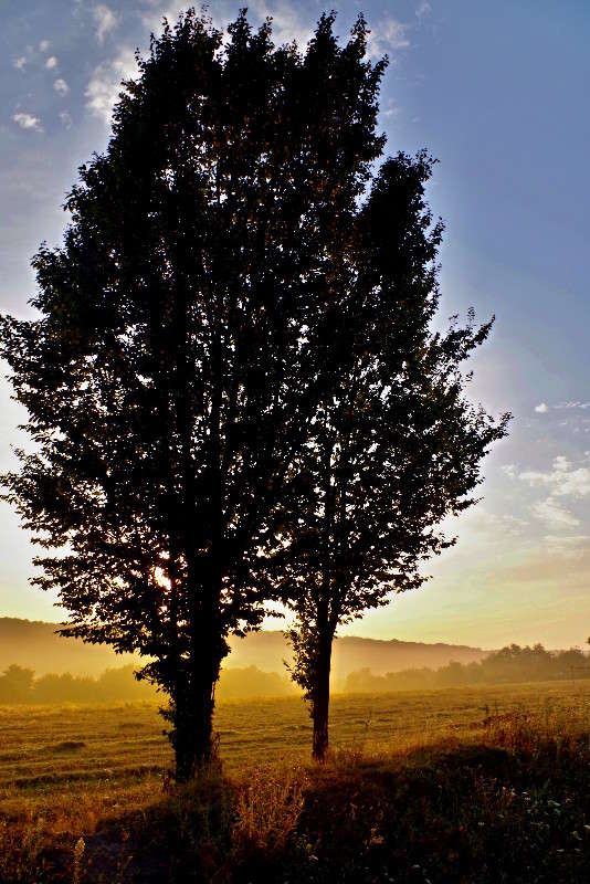 ������ ����� ���� ������ �� PhotoGeek.ru #�������� ����������