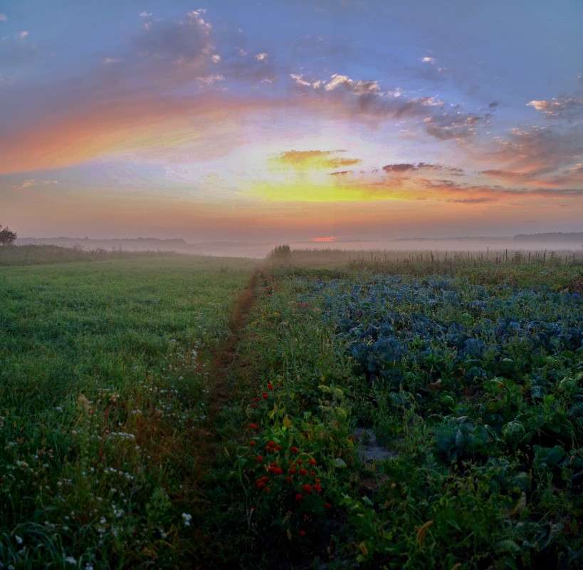 ����.������ ������ ����� ���� ������ �� PhotoGeek.ru #������ ��� �������