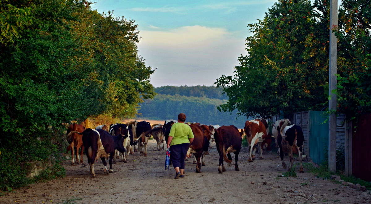 �� �������� ����� ���� ������ �� PhotoGeek.ru #�������� ����������