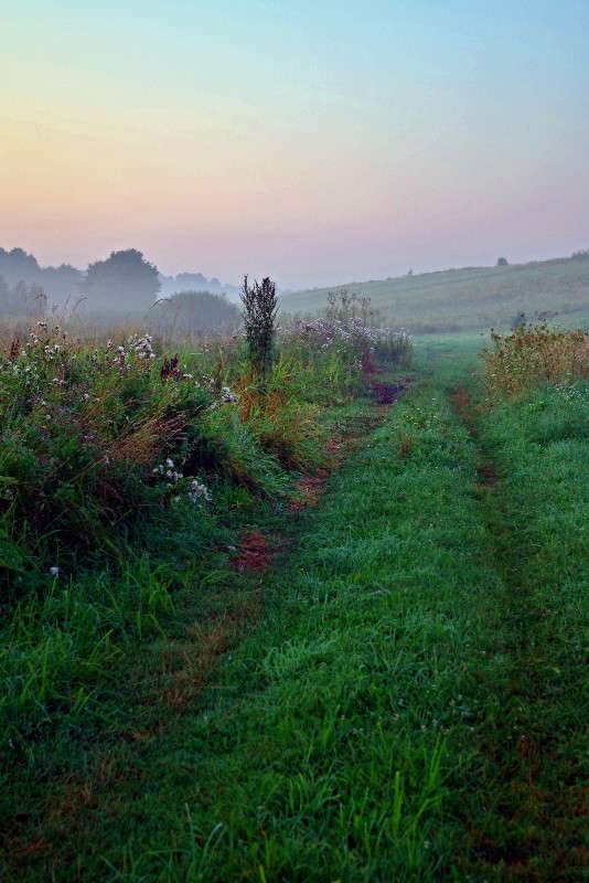 ������� ����� ���� ������ �� PhotoGeek.ru #������ ��� �������