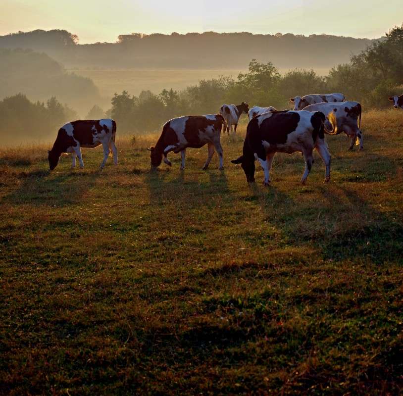 �� �������� ����� ���� ������ �� PhotoGeek.ru #�������� ����������