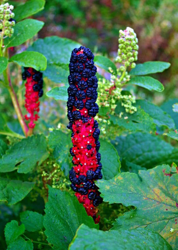 ??? ����� ���� ������ �� PhotoGeek.ru #�����