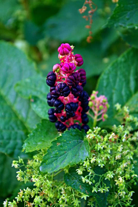 ??? ����� ���� ������ �� PhotoGeek.ru #�����