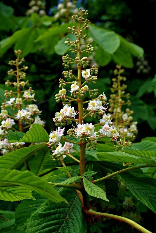 ������ ������ ����� ���� ������ �� PhotoGeek.ru #�����