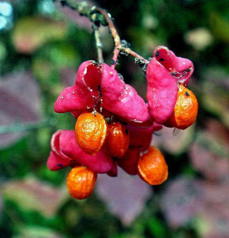 ����� ����� ���� ������ �� PhotoGeek.ru #�����