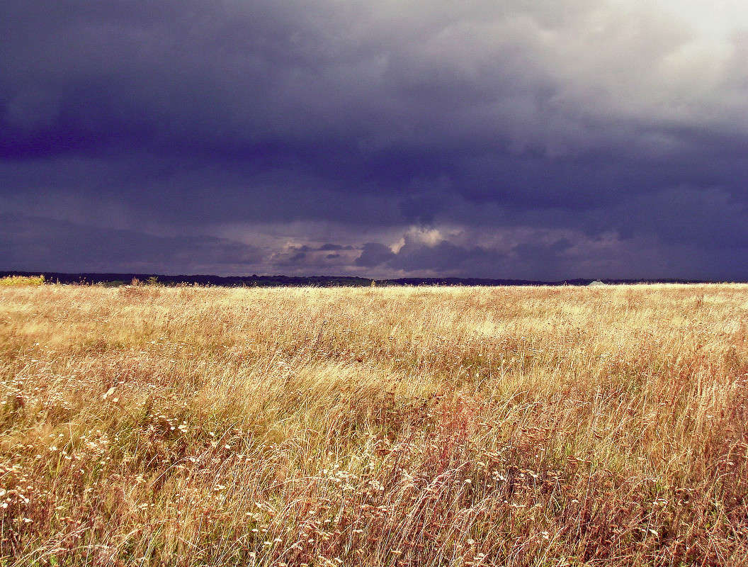 ����� ������ ����� ���� ������ �� PhotoGeek.ru #������ ��� �������