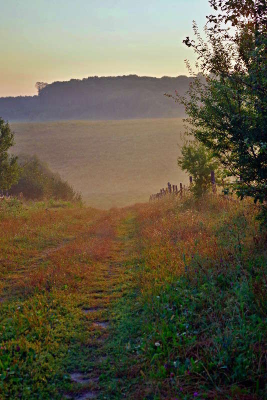 ���� ����� ���� ������ �� PhotoGeek.ru #������ ��� �������