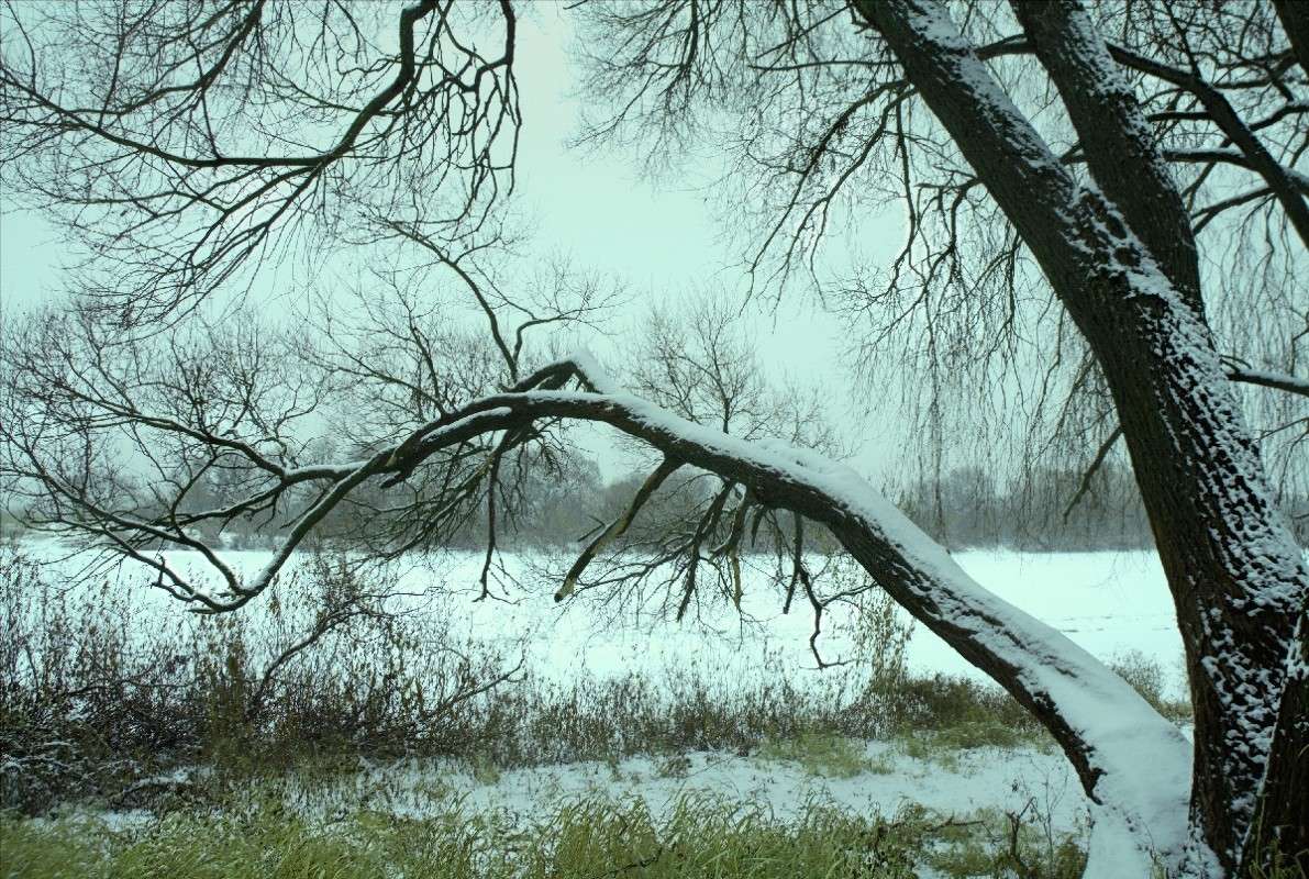 ... ����� ������� ���������� �� PhotoGeek.ru #������ ��� �������