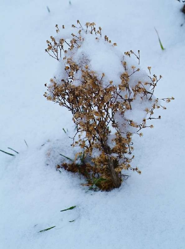 ... ����� ������� ���������� �� PhotoGeek.ru #������ ��� �������