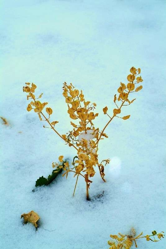 ... ����� ������� ���������� �� PhotoGeek.ru #������ ��� ������� #����� ��������������