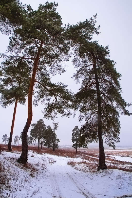 ... ����� ������� ���������� �� PhotoGeek.ru #������ ��� �������