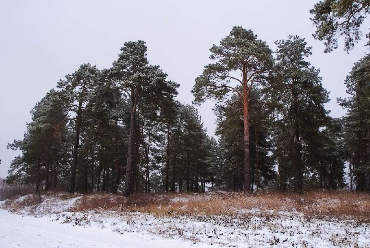 ... ����� ������� ���������� �� PhotoGeek.ru #������ ��� �������