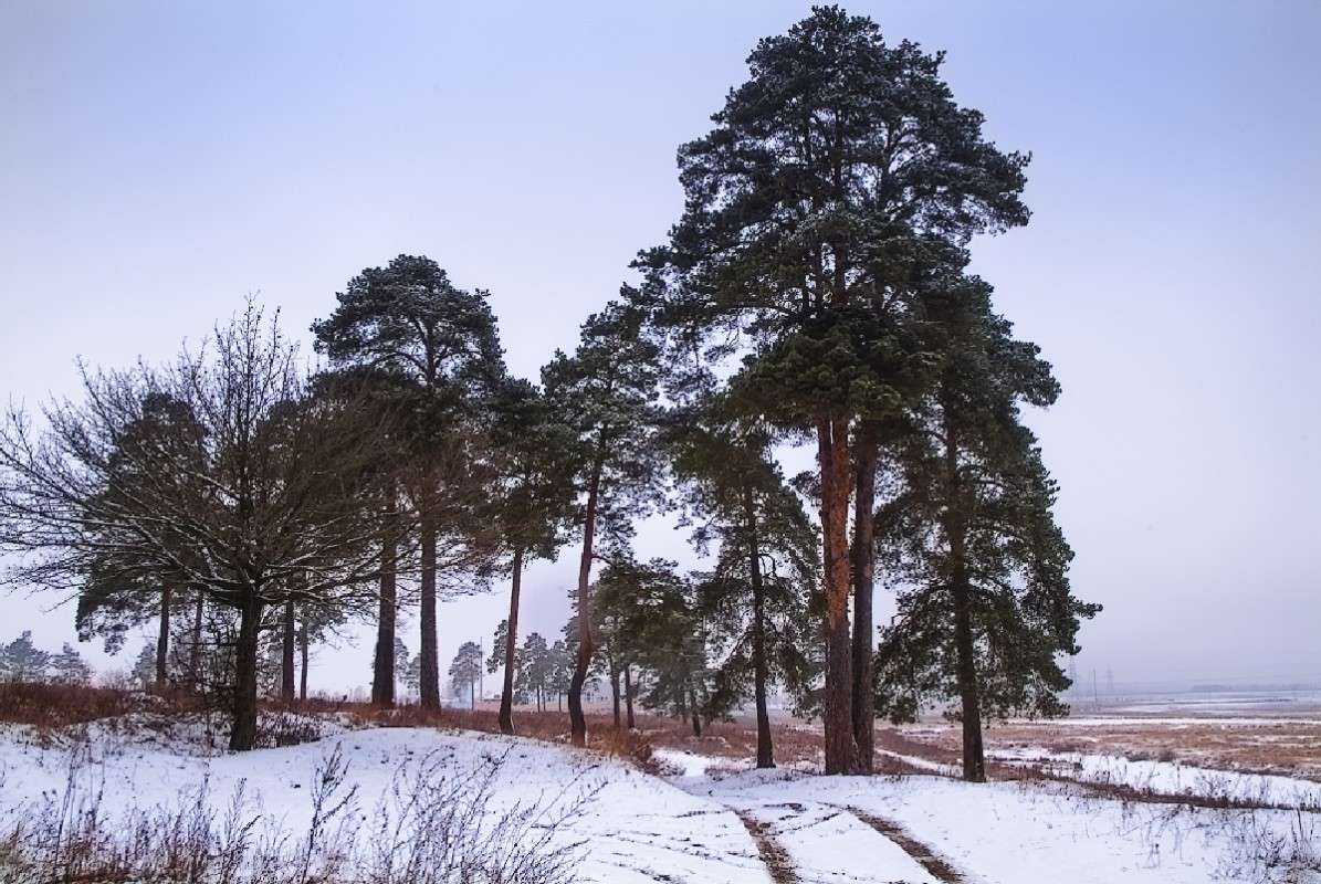 ... ����� ������� ���������� �� PhotoGeek.ru #������ ��� �������