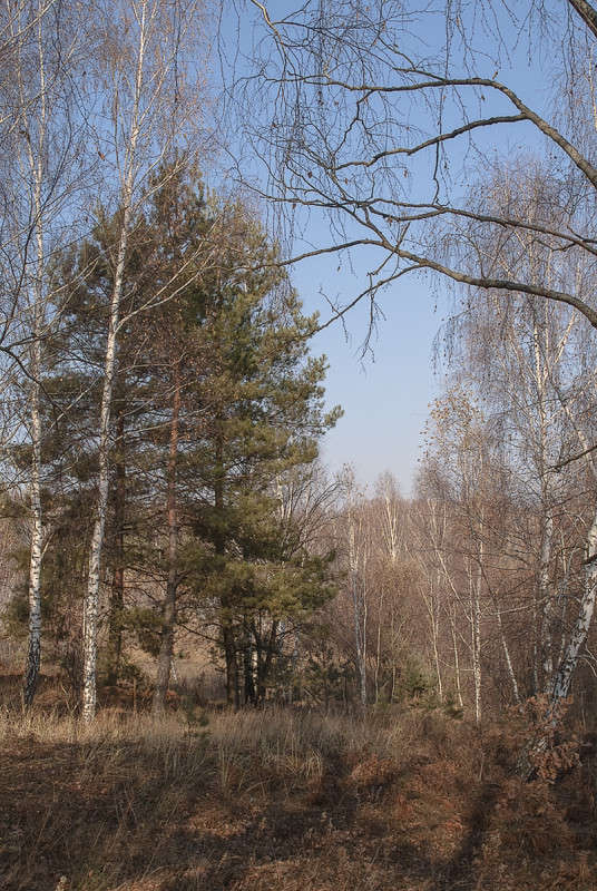 ... ����� ������� ���������� �� PhotoGeek.ru #������ ��� �������