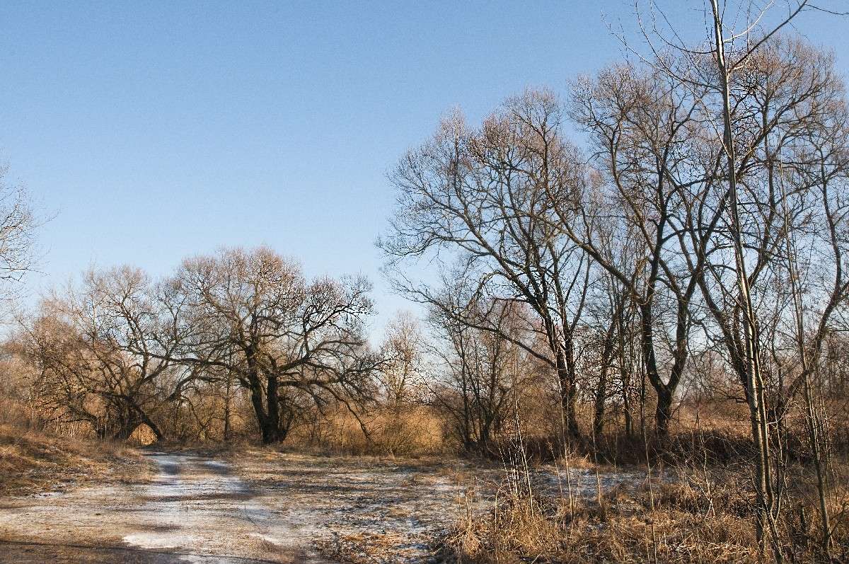 ... ����� ������� ���������� �� PhotoGeek.ru #������ ��� �������