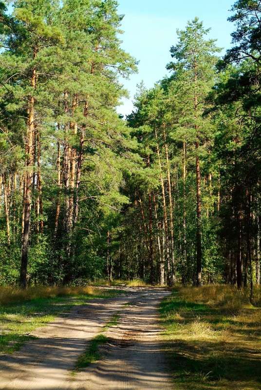 ... ����� ������� ���������� �� PhotoGeek.ru #������ ��� �������